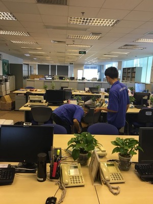 別墅滅鼠、滅蟑、滅蠅技術咨詢指南